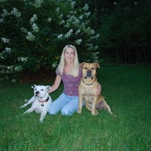 Meet your Posher, Dawn